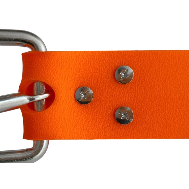 【Supernew】Cintura portapesi in - Dive Weight Belt recensione e prezzo